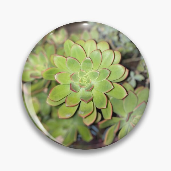 Item preview, Perfection Succulent designed and sold by SucculentLovers.