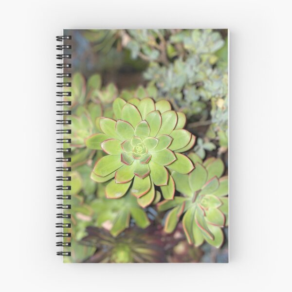 Item preview, Perfection Succulent designed and sold by SucculentLovers.