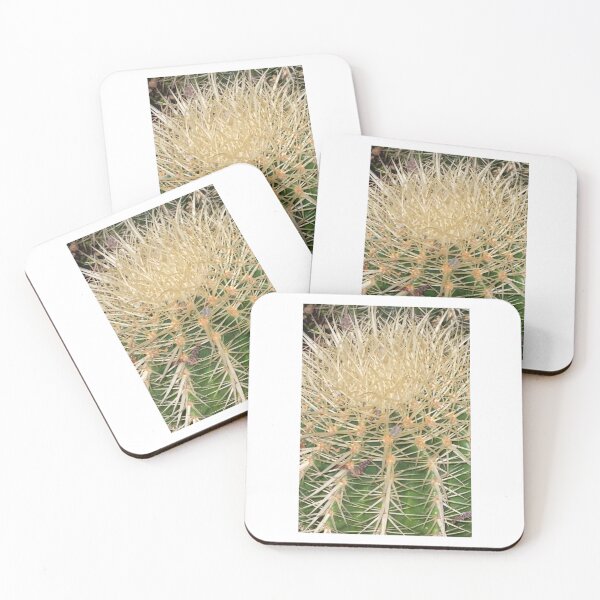 Cactus Spikes Coasters (Set of 4)
