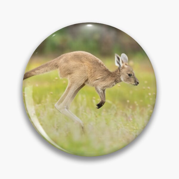 Item preview, Young kangaroo hopping designed and sold by Images by Chris de Blank.