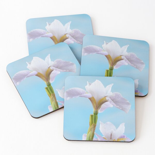 Item preview, Iris sibirica  Siberian iris designed and sold by Chris Burrows.