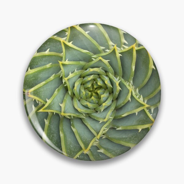 Item preview, Spiky Succulent  designed and sold by AmazedGrace.