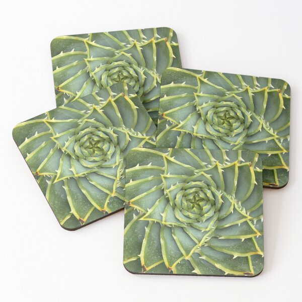 Item preview, Spiky Succulent  designed and sold by AmazedGrace.