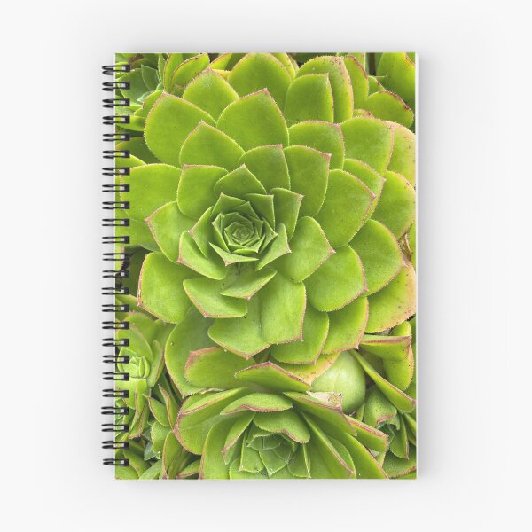Item preview, Succulent Buddies  designed and sold by AmazedGrace.