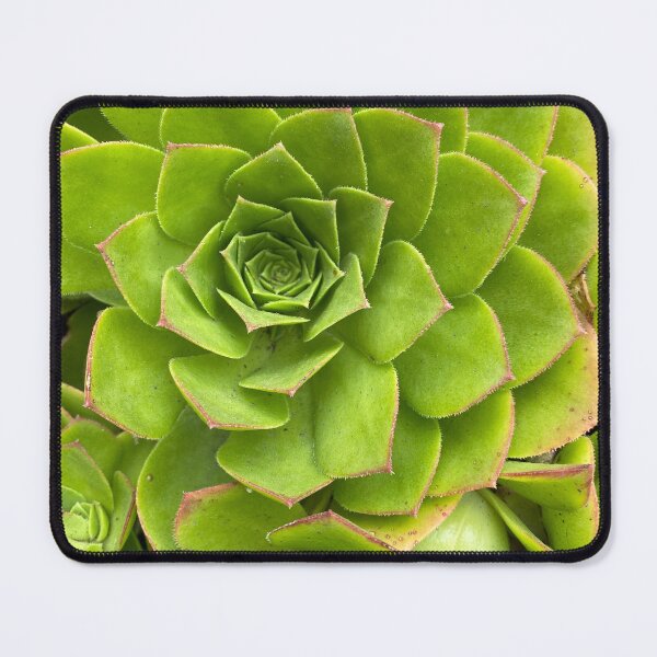 Item preview, Succulent Buddies designed and sold by AmazedGrace.