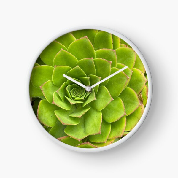 Succulent Buddies Clock