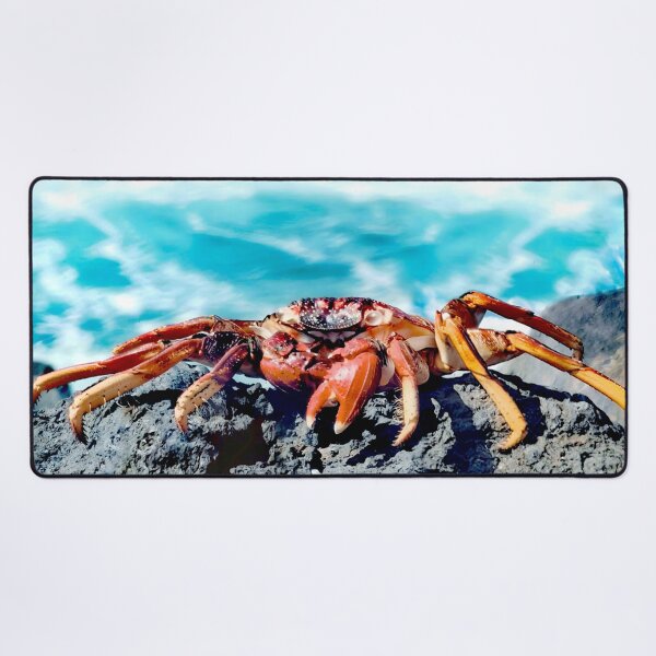 Item preview, Crab by the sea, photo, close-up designed and sold by Wallisart.