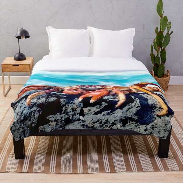 Item preview, Crab by the sea, photo, close-up designed and sold by Wallisart.