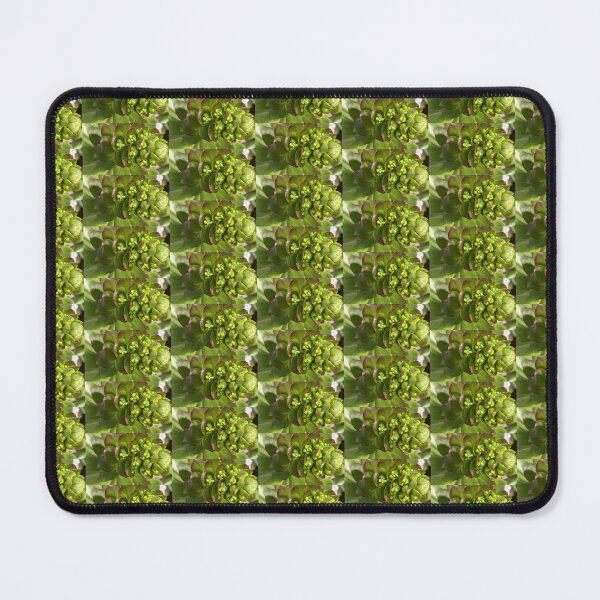 Item preview, Succulent Climax Death Bloom designed and sold by AmazedGrace.