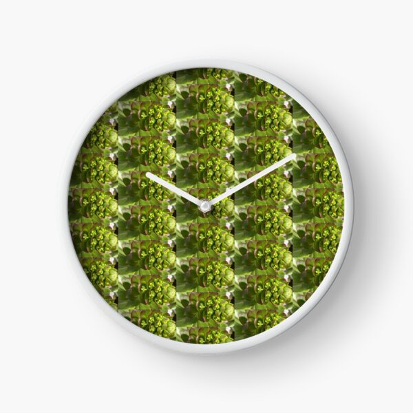 Succulent Climax Death Bloom Clock