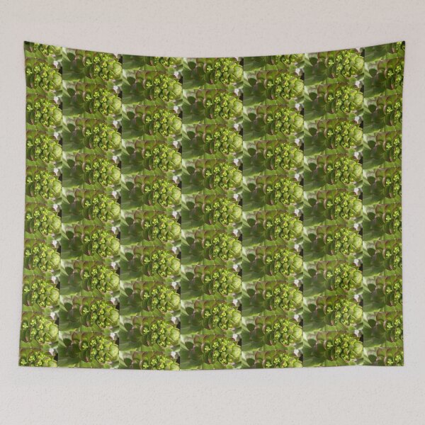 Item preview, Succulent Climax Death Bloom designed and sold by AmazedGrace.