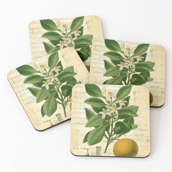 Item preview, Sweet Orange Botanical on Old Book Page Collage designed and sold by missdebi27.