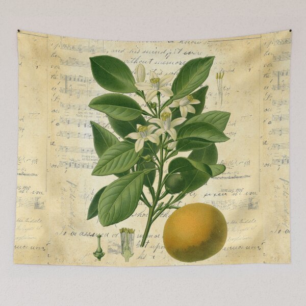 Item preview, Sweet Orange Botanical on Old Book Page Collage designed and sold by missdebi27.