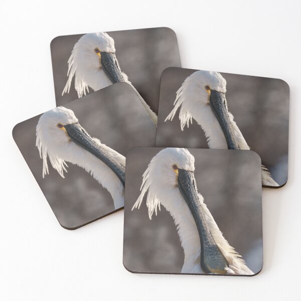 Item preview, Eurasian Spoonbill designed and sold by rawshutterbug.