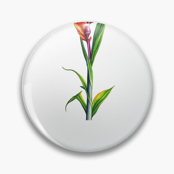 Item preview, Canna Lily, Canna Lilies designed and sold by nicheteees.