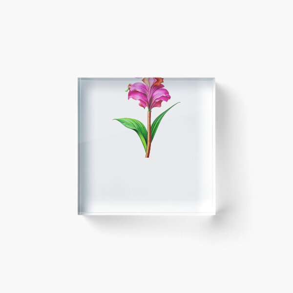 Item preview, Canna Lily, Canna Lilies designed and sold by nicheteees.