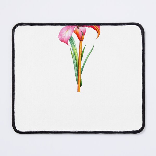 Item preview, Canna Lily, Canna Lilies designed and sold by nicheteees.