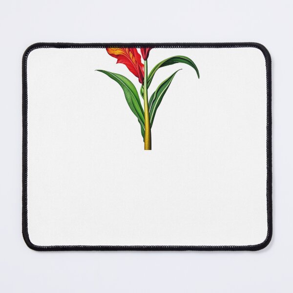 Item preview, Canna Lily, Canna Lilies designed and sold by nicheteees.