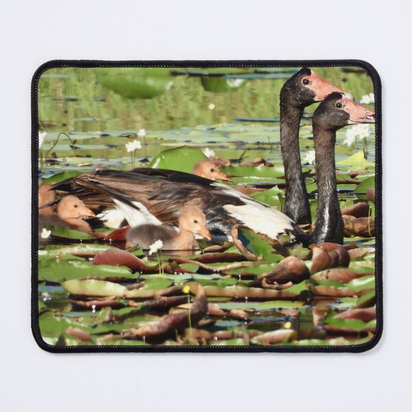 Item preview, Magpie geese family time designed and sold by Mark Grimsley.
