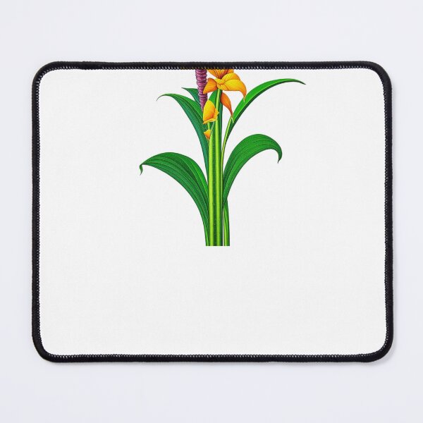 Item preview, Canna Lily, Canna Lilies designed and sold by nicheteees.