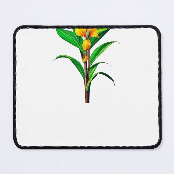 Item preview, Canna Lily, Canna Lilies designed and sold by nicheteees.