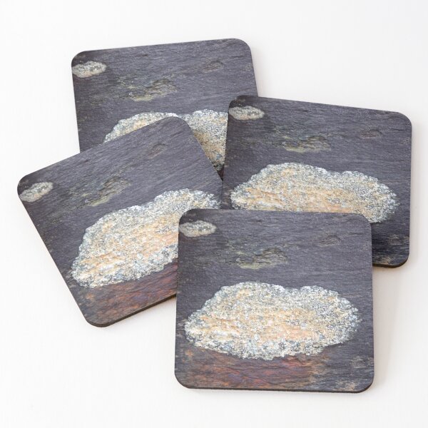 Item preview, rock lichen designed and sold by KathleenDawson.