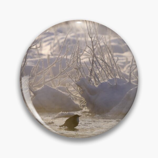 Item preview, Freezing cold dip. White-throated dipper designed and sold by Jouko Lehto Photography.