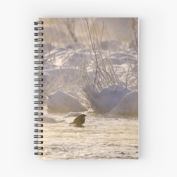 Item preview, Freezing cold dip. White-throated dipper designed and sold by Jouko Lehto Photography.
