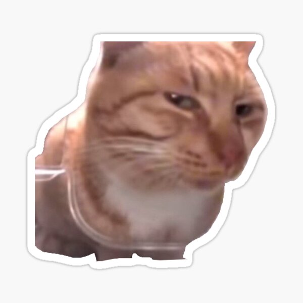 Item preview, Side Eye Cat Meme designed and sold by Emizzy.
