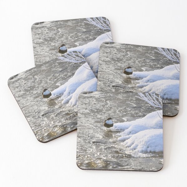 Item preview, What is there on the other side. White-throated dipper designed and sold by Jouko Lehto Photography.