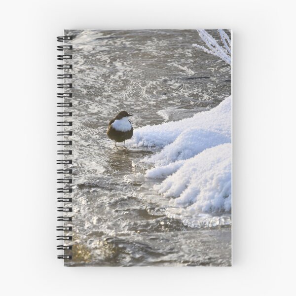Item preview, What is there on the other side. White-throated dipper designed and sold by Jouko Lehto Photography.