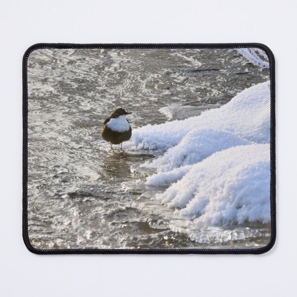 Item preview, What is there on the other side. White-throated dipper designed and sold by Jouko Lehto Photography.