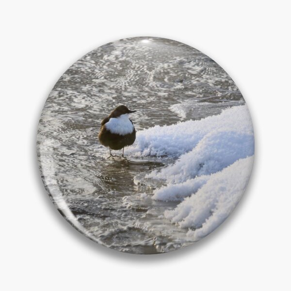 Item preview, What is there on the other side. White-throated dipper designed and sold by Jouko Lehto Photography.