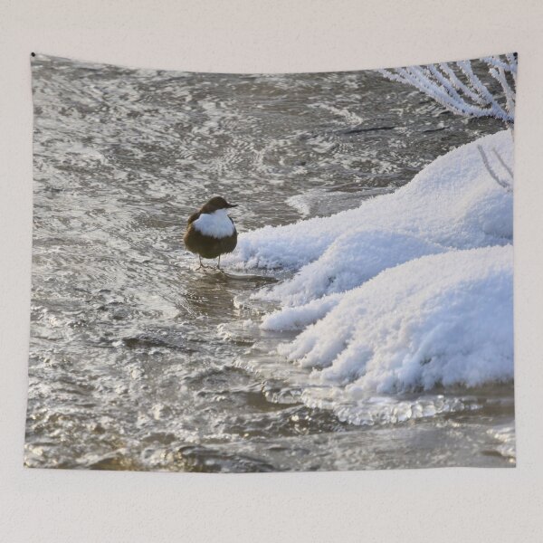 Item preview, What is there on the other side. White-throated dipper designed and sold by Jouko Lehto Photography.
