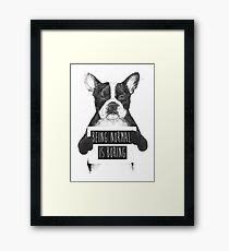 Bored dog Framed Print