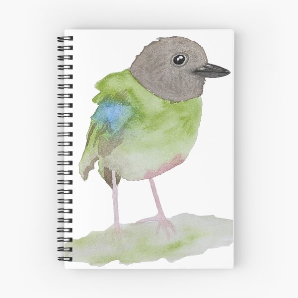 Item preview, Colourful Pitta Bird designed and sold by MapleLeaf.