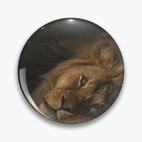 Item preview, Lionking passing lazy time - exclusive  designed and sold by Sam-DesignMart.