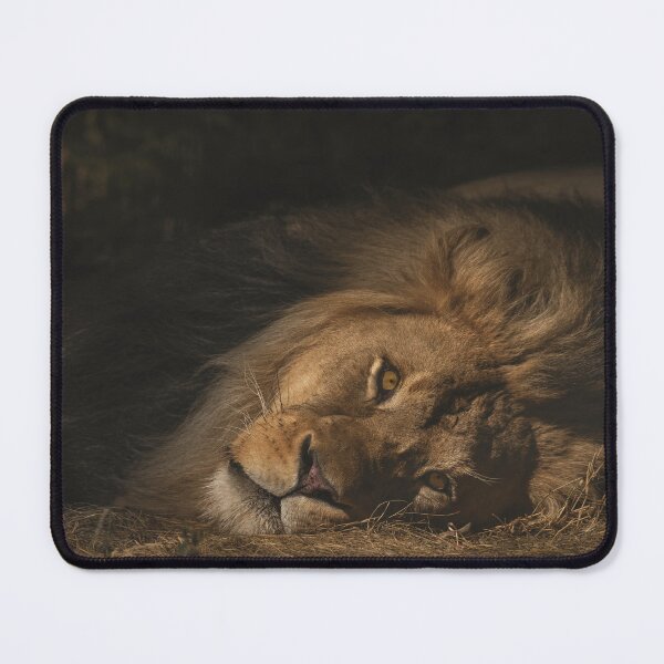 Item preview, Lionking passing lazy time - exclusive designed and sold by Sam-DesignMart.