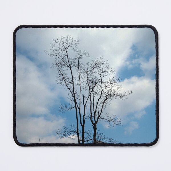 Item preview, sky and trees designed and sold by yunee.