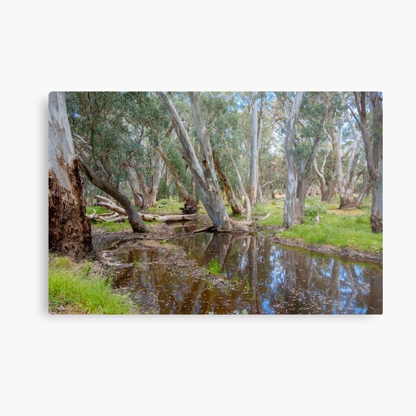 Item preview, Wilpena Billabong designed and sold by Ray's Photos & Art.