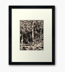 Woodcut Framed Print