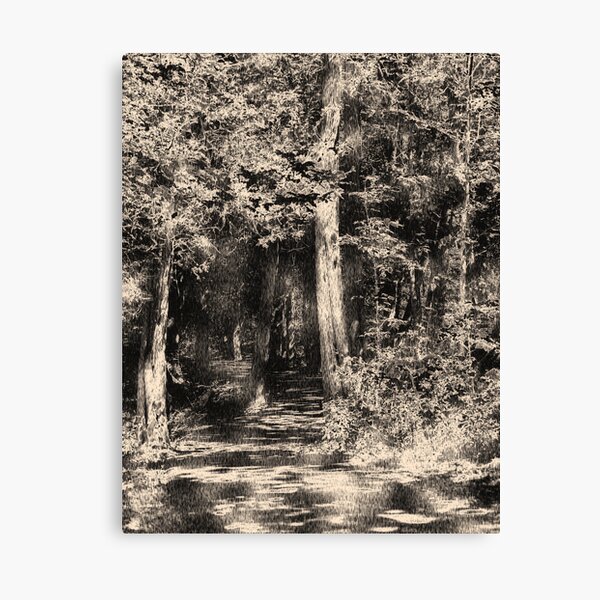 Woodcut Canvas Print