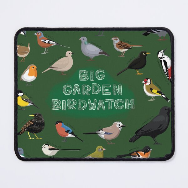 Item preview, Cute Bird Big Garden Birdwatch Set designed and sold by SUPERHERON.