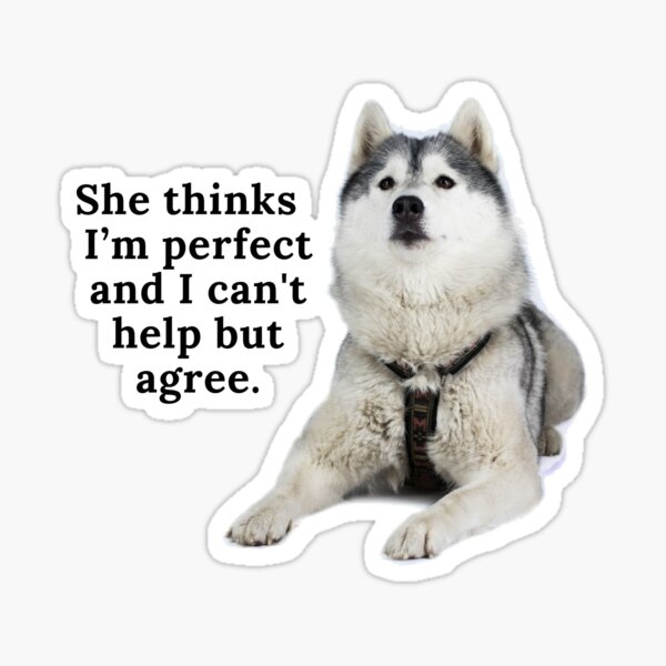 She thinks I'm Perfect I can't help but agree Sticker