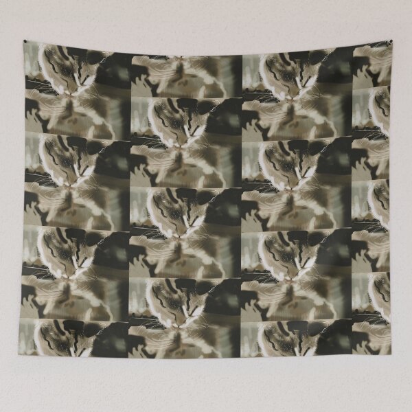Item preview, A cats reflection in a pond  designed and sold by Jacinta hunt.
