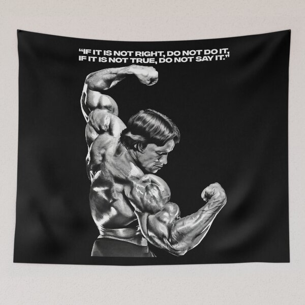 Item preview, Stoic Quote “If it is not right, do not do it, if it is not true, do not say it.” Arnold Schwarzenegger Fan art designed and sold by HuzaifaNaveedh.