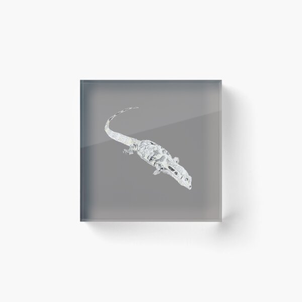 Item preview, Southeast Asian Water Monitor  designed and sold by chrisnature.