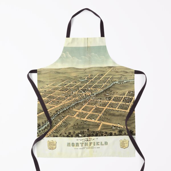 Item preview, Northfield, Minnesota (1869) designed and sold by allhistory.