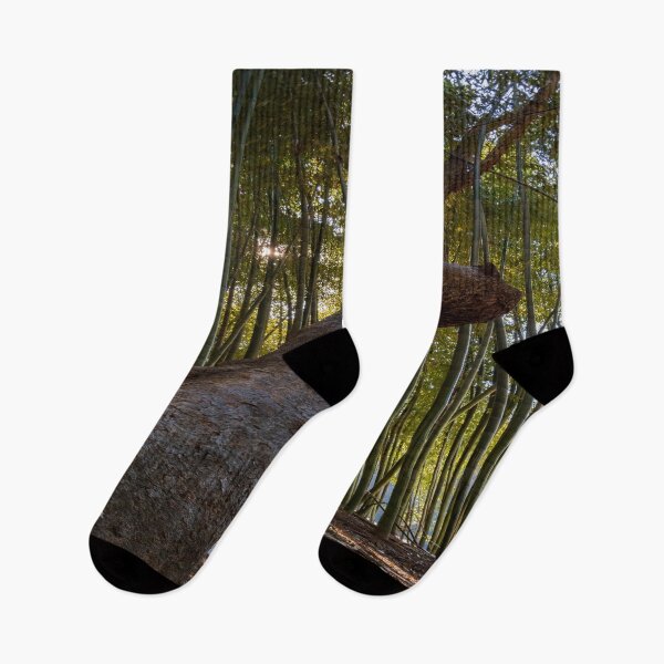 Item preview, Middle of the Bamboo Forest designed and sold by Craig Kauzmann.