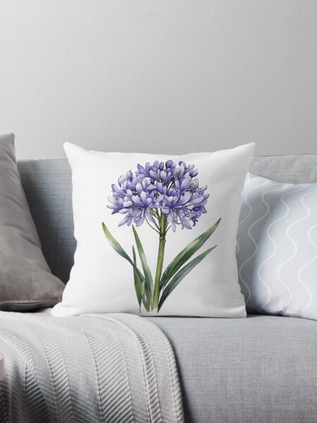 Artikel-Vorschau von Agapanthus (Agapanthus africanus), designt und verkauft von hometown86.